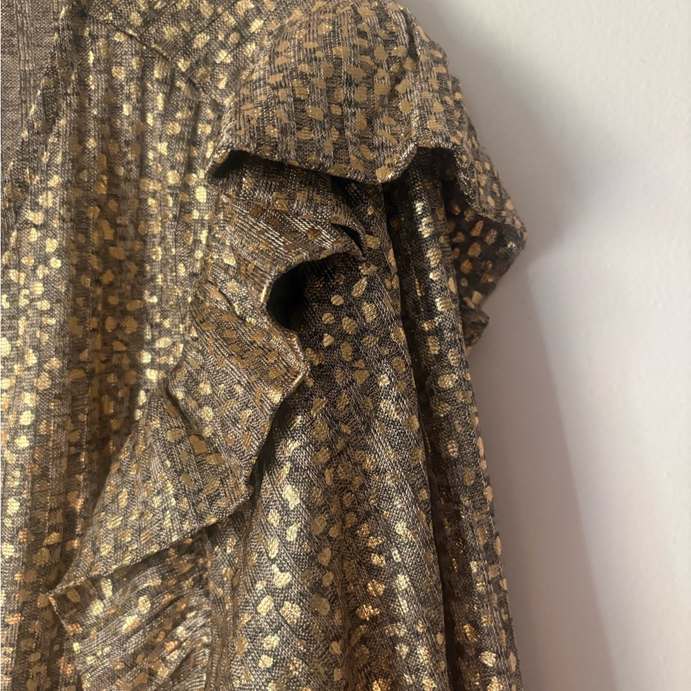 Metallic Blouse - Picture 6 of 7